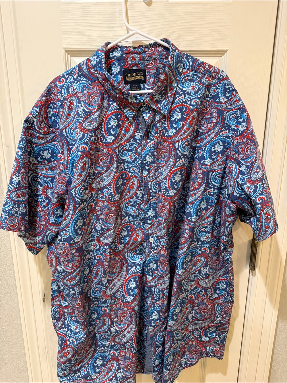 Daniel Cremieux Red & Blue Paisley Short-Sleeve Button-Up Shirt